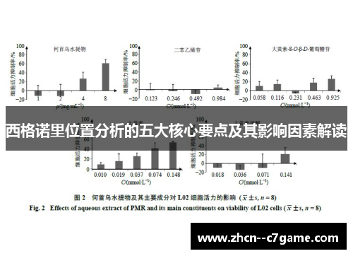 西格诺里位置分析的五大核心要点及其影响因素解读